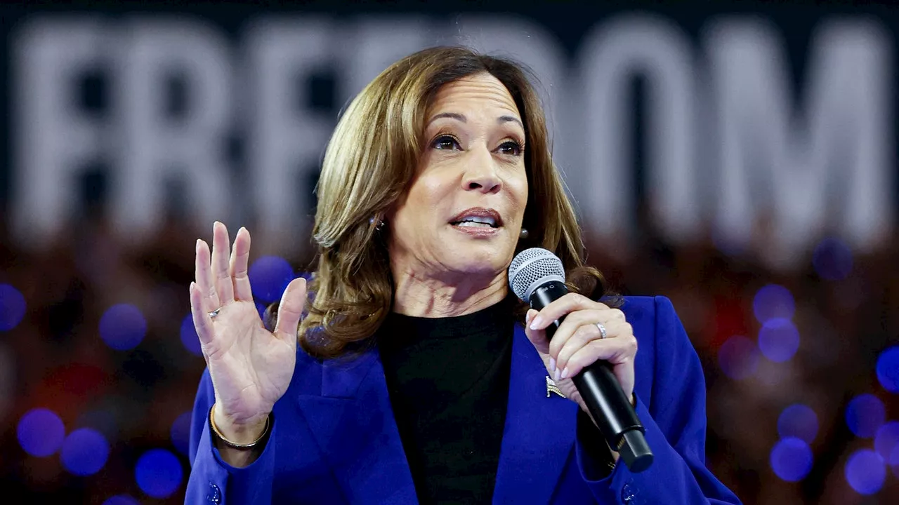 Elezioni Usa 2024, Kamala Harris: biografia, carriera, critiche