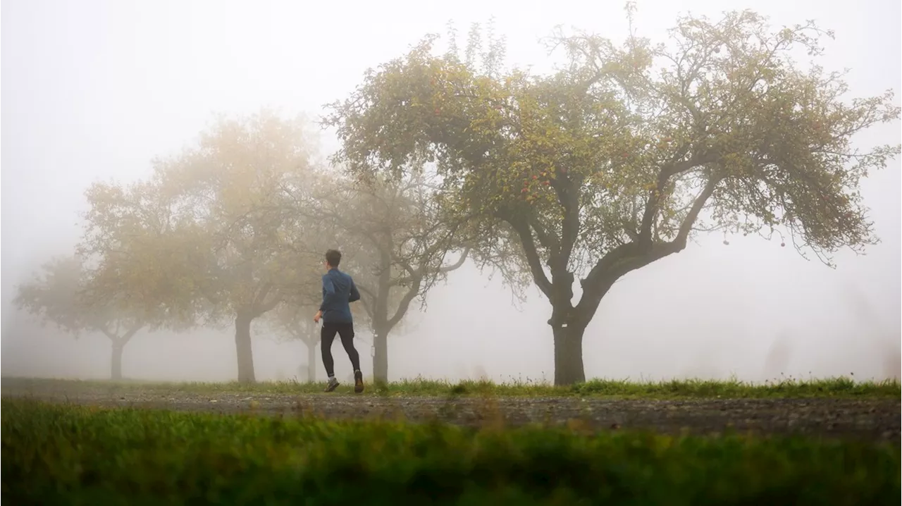 Wetter heute: Sonne macht sich rar in Deutschland – trüber Nebel dominant