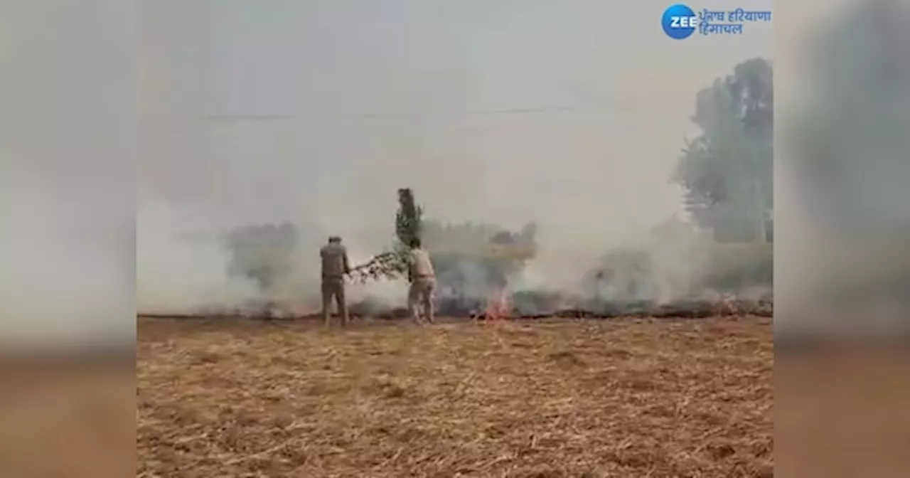 Ferozepur Stubble Burning Case: ਫ਼ਸਲ ਦੀ ਕਟਾਈ ਤੋਂ ਬਾਅਦ ਕਿਸਾਨ ਪਰਾਲੀ ਨੂੰ ਲਗਾ ਰਹੇ ਅੱਗ! ਵਾਤਾਵਰਨ ਹੋ ਰਿਹਾ ਖ਼ਰਾਬ, 150 ਕੇਸ ਦਰਜ