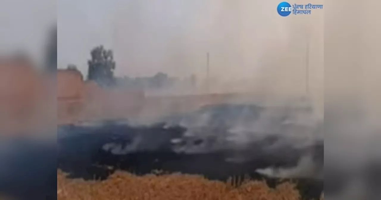 Farmers Protest: ਮਾਨਸਾ ਚ ਪਰਾਲੀ ਨੂੰ ਅੱਗ ਲਗਾ ਕੀਤਾ ਵਿਰੋਧ ਪ੍ਰਦਰਸ਼ਨ, ਸਰਕਾਰ ਨੇ ਪਰਾਲੀ ਦੀ ਰਹਿਦ-ਖੂੰਹਦ ਦਾ ਨਹੀਂ ਕੀਤਾ ਕੋਈ ਹੱਲ