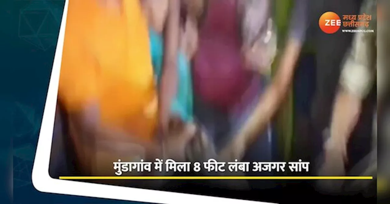 VIDEO: मुंडागांव में मिला 8 फीट लंबा अजगर, ग्रामीणों में दहशत, देखें वीडियो