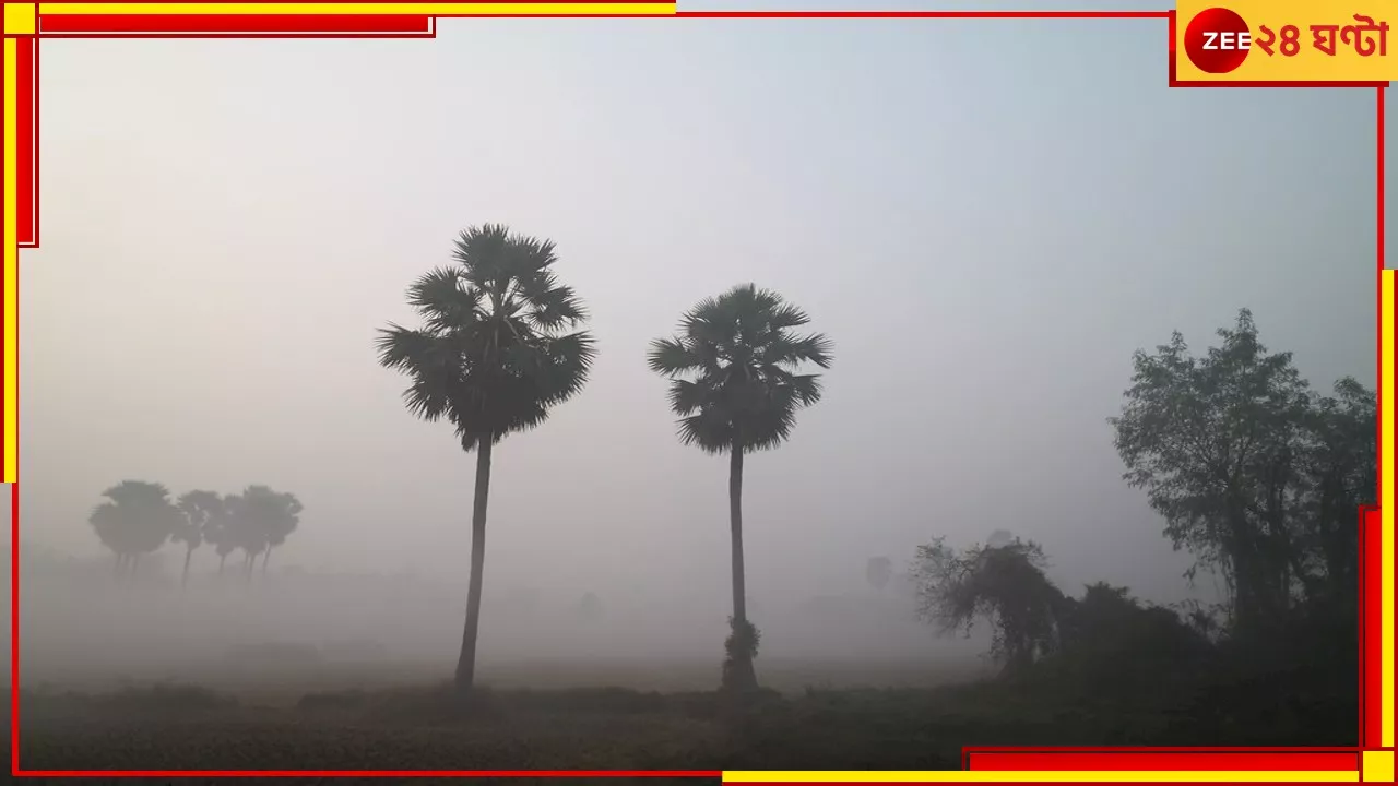 Weather: চামড়ায় টান, ঢুকছে শুকনো হাওয়া! শীত পড়ছে কবে?