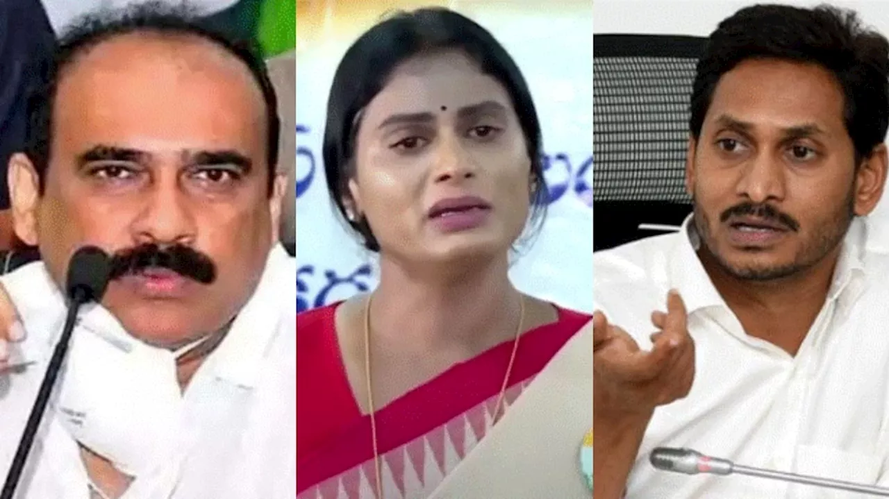 YS Jagan VS YS Sharmila: ఆడబిడ్డ కంట తడి మంచిది కాదు.... సంచలన వ్యాఖ్యలు చేసిన బాలినేని..