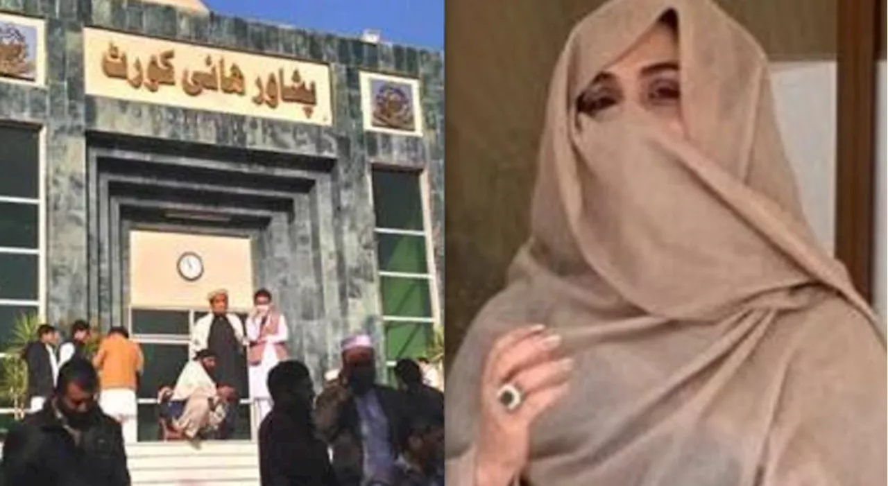 Peshawar High Court bars authorities from arresting Bushra Bibi in any case