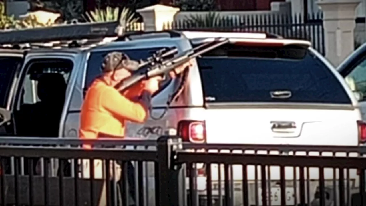 Pigeon culler causes panic by shooting at birds near Adelaide park