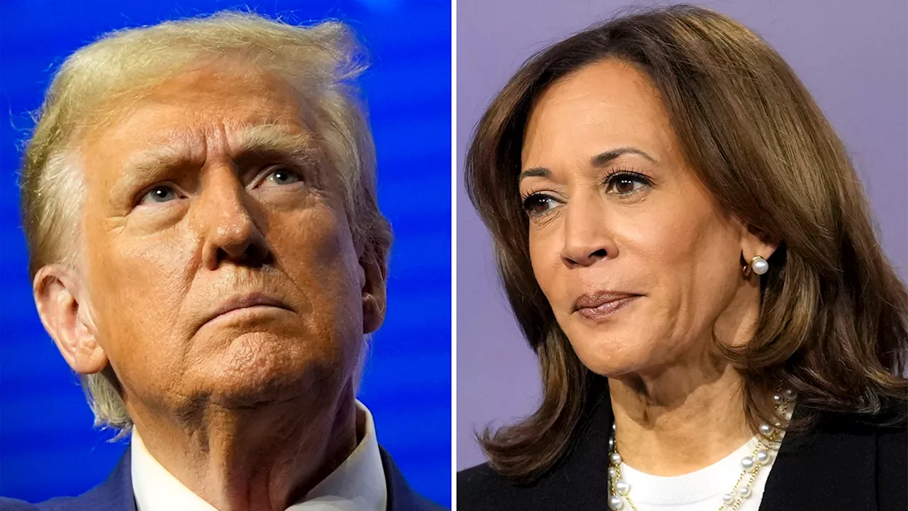 2024 election updates: Trump and Harris enter the final stretch of the 2024 campaign