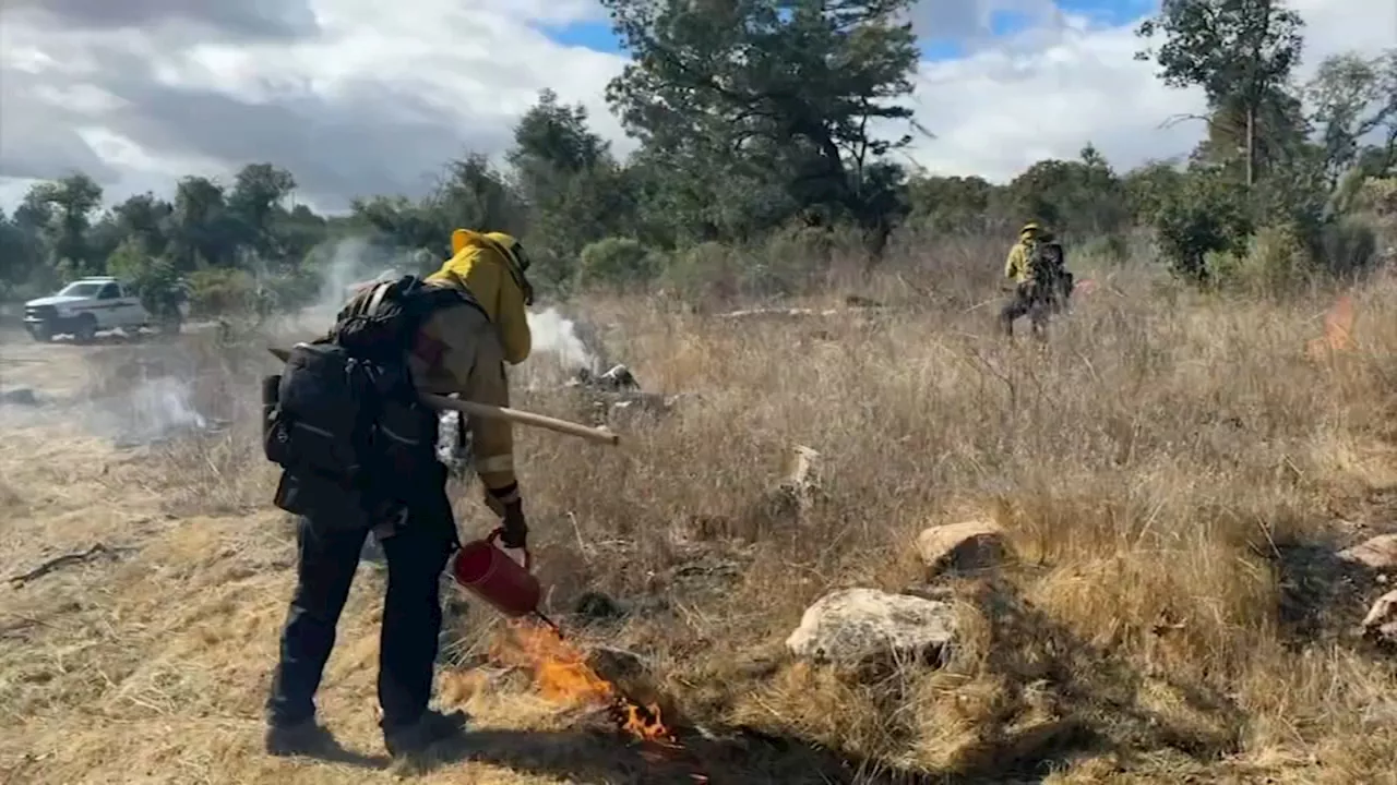 Rain puts damper on CAL FIRE's prescribed burn in Sonoma County