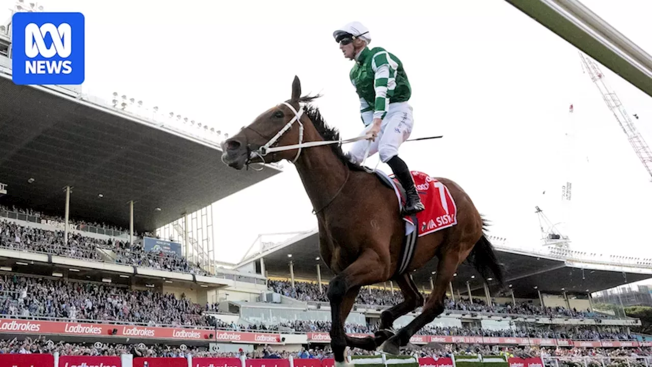 Melbourne Cup favourite Via Sistina yet to be confirmed for big race