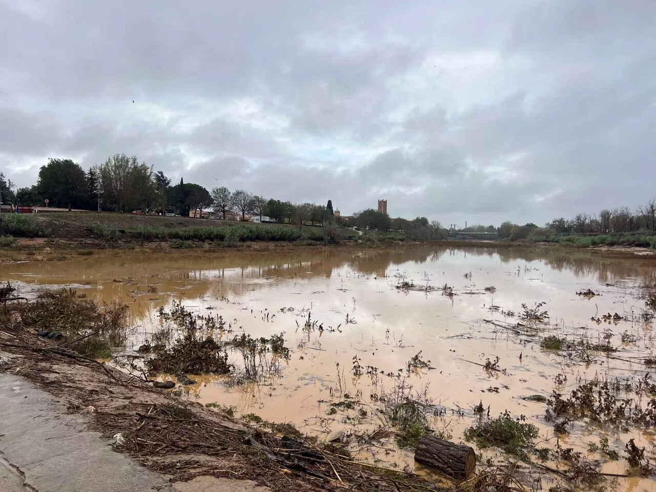 À sec depuis plusieurs années, ce fleuve des Pyrénées-Orientales retrouve enfin de l'eau