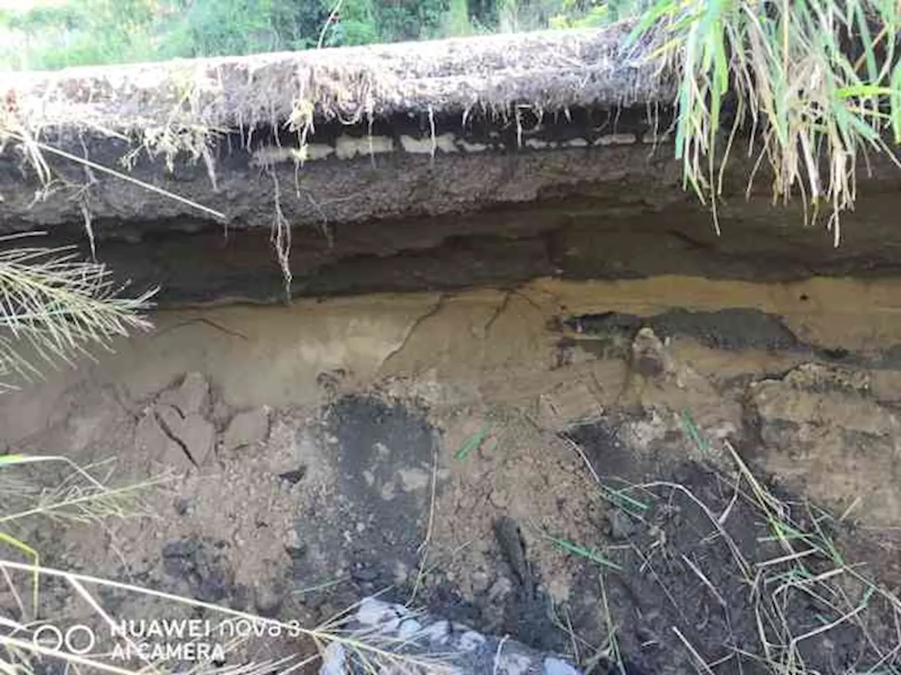 Alertan que tramo de carretera Alvarado-Lerdo de Tejada podría colapsar