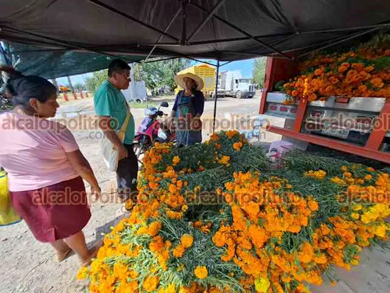 Flor traída de Atlixco acapara la Plaza de Todos Santos, en Álamo