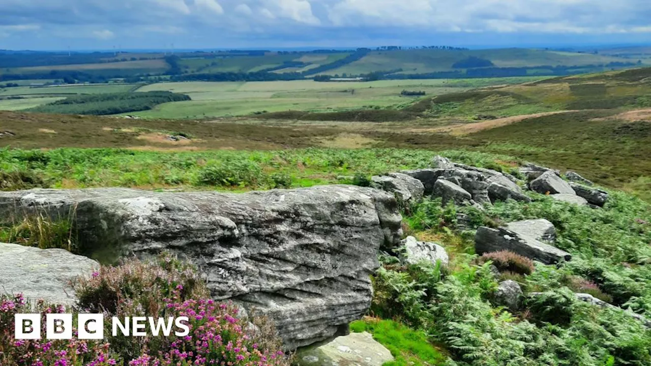 Rothbury Estate in Northumberland sold to Wildlife Trusts