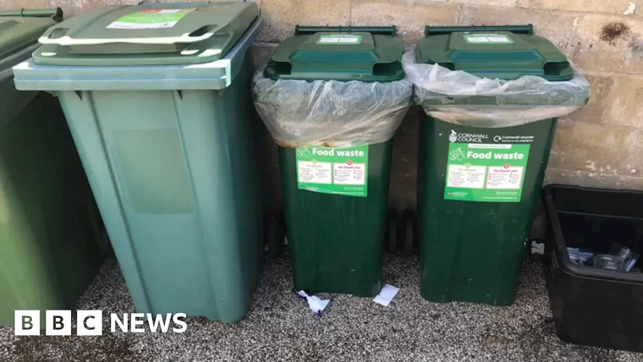 Councillor happy with Cornwall bin system ahead of next rollout