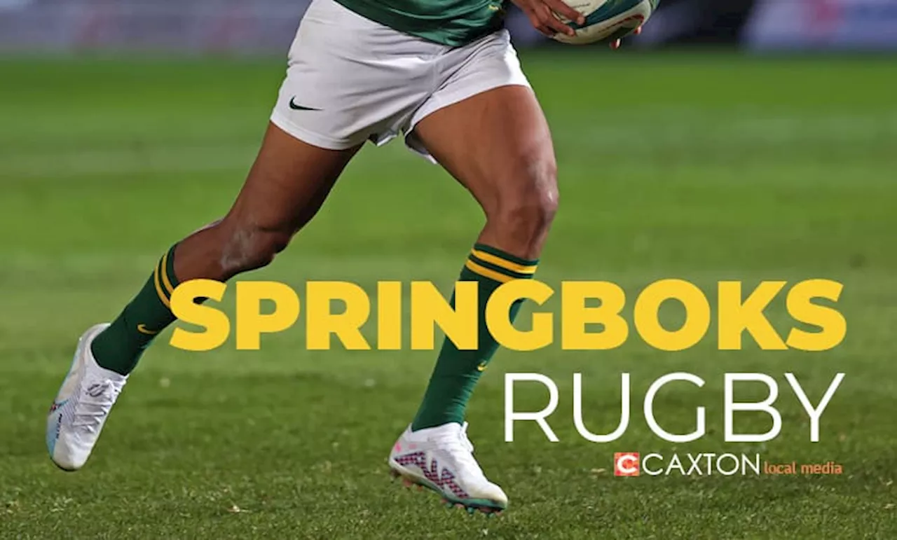 Boks fly in Jordan Hendrikse to replace Frans Malherbe