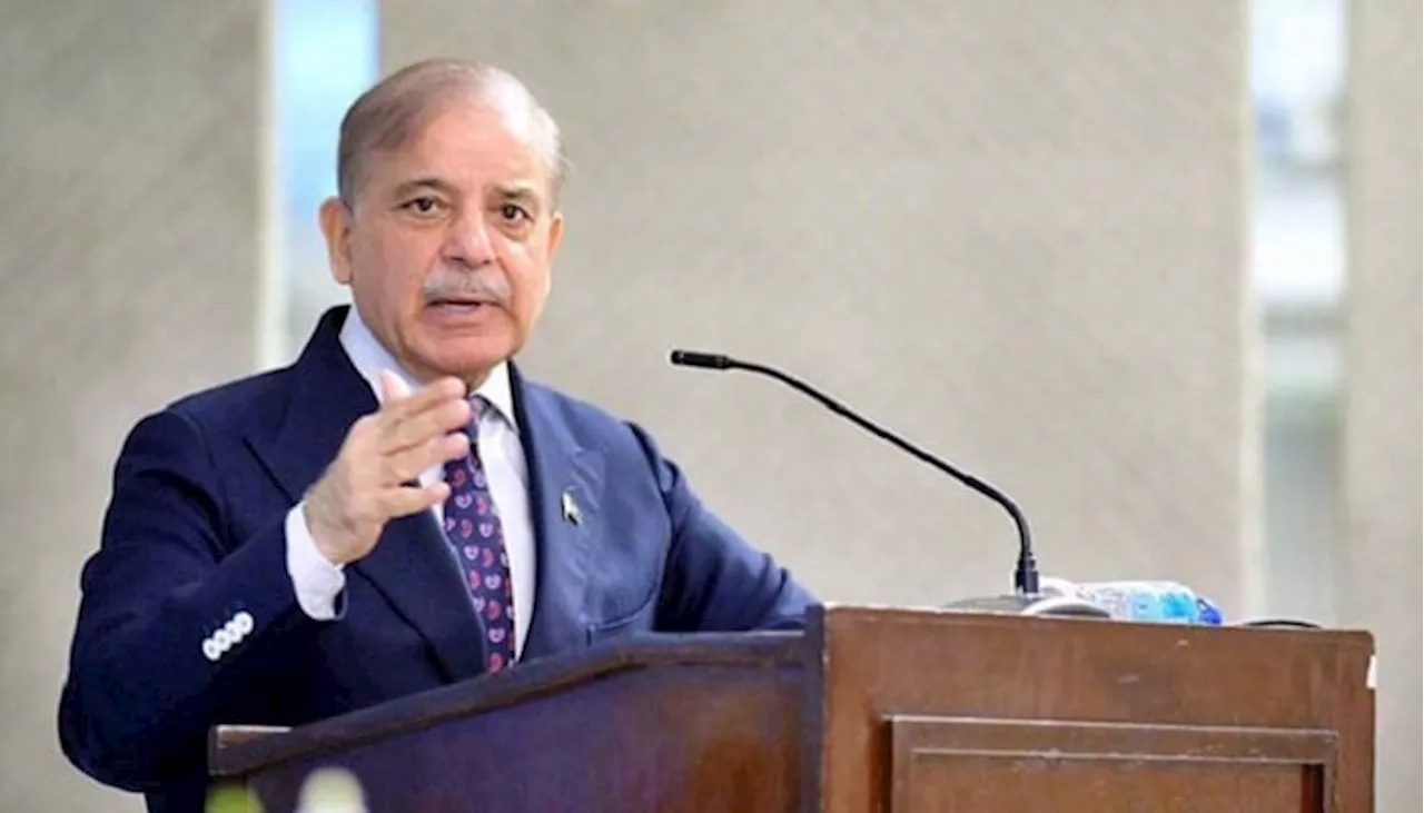 PM Shehbaz for collective global collaboration in realms of AI, health to overcome present-day challenges