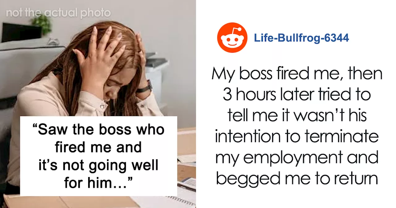 Woman Gets Fired For Something She Didn’t Do, Gets Her Satisfying Revenge Years Later