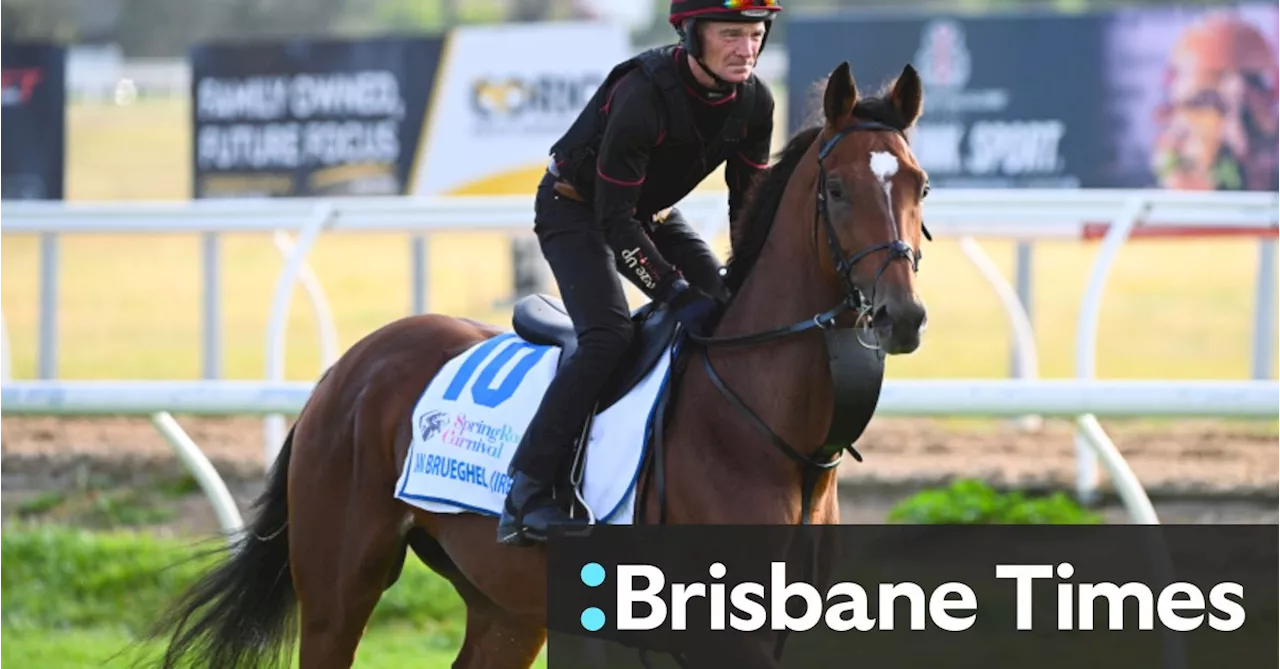 ‘Gut-wrenching’: European star Jan Brueghel ruled out of Melbourne Cup