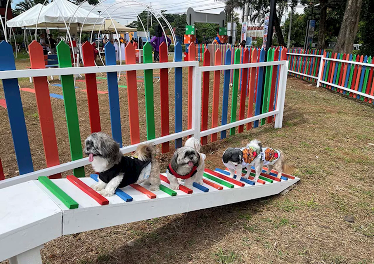 Tails a Waggin’: Vidarte Unveils Happy Tails Park, an Interactive Space for Pets and Their Owners