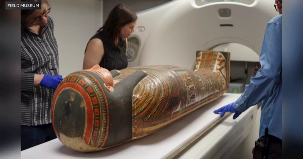 Field Museum uses CT scans on mummies to see inside them for first time