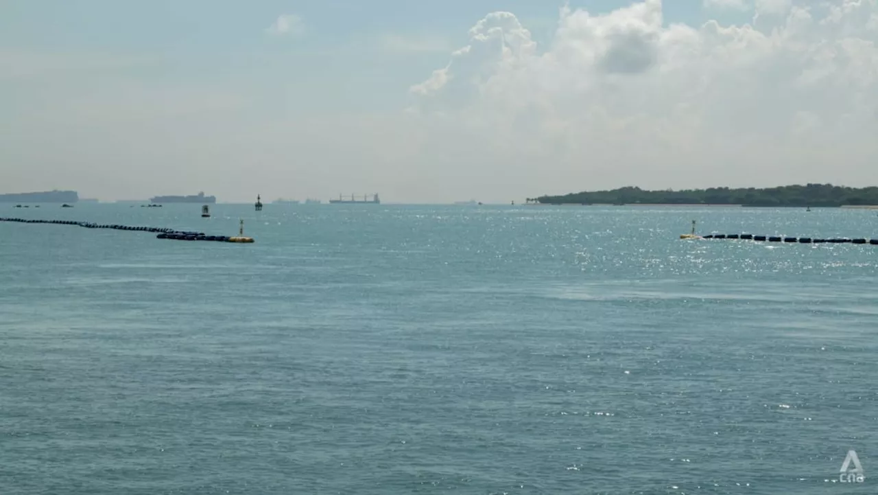 Oil spill during bunkering operations off Changi: MPA