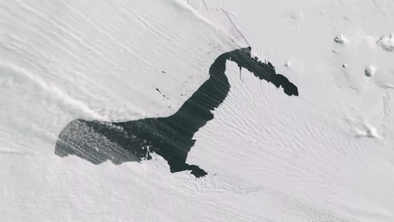 Un glaciar clave de la Antártida parece \'desprender humo\' desde una vista satelital