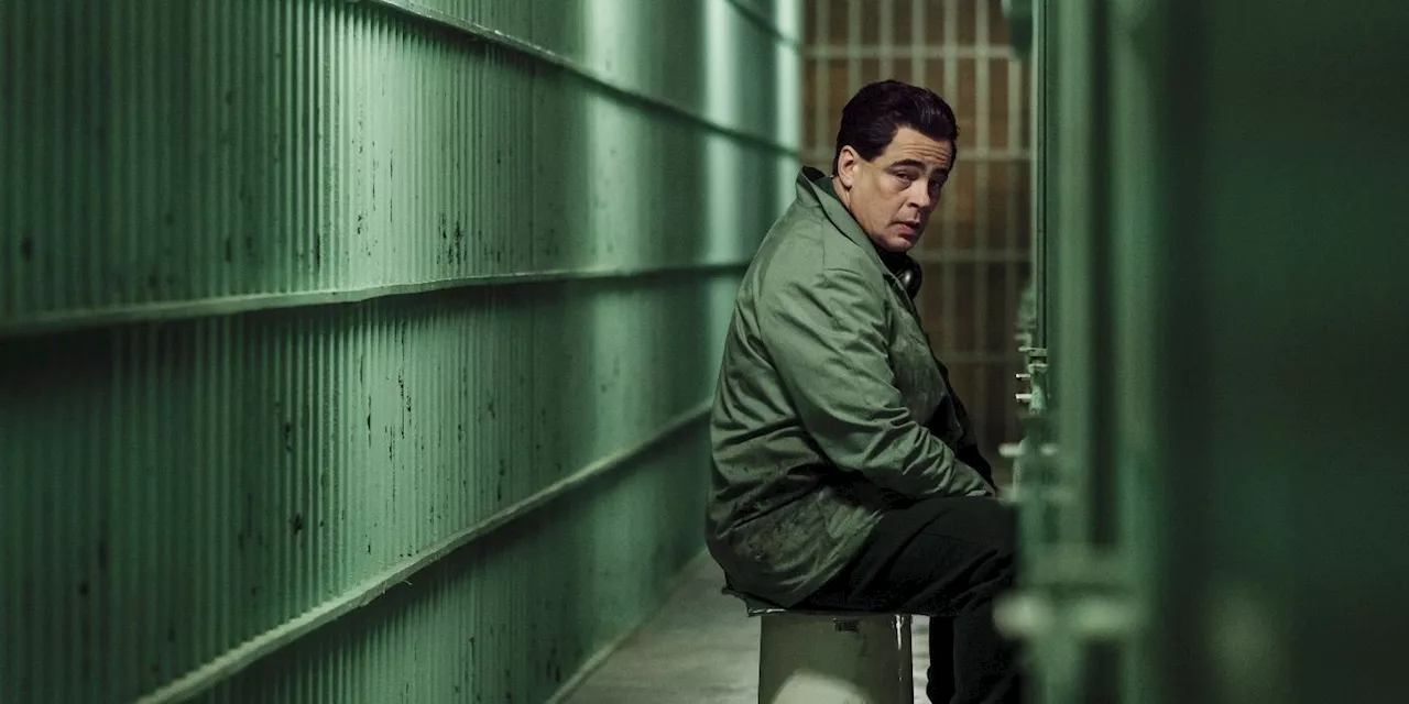 This Ben Stiller-Directed Miniseries Based on a Wild True Story Just Hit Netflix