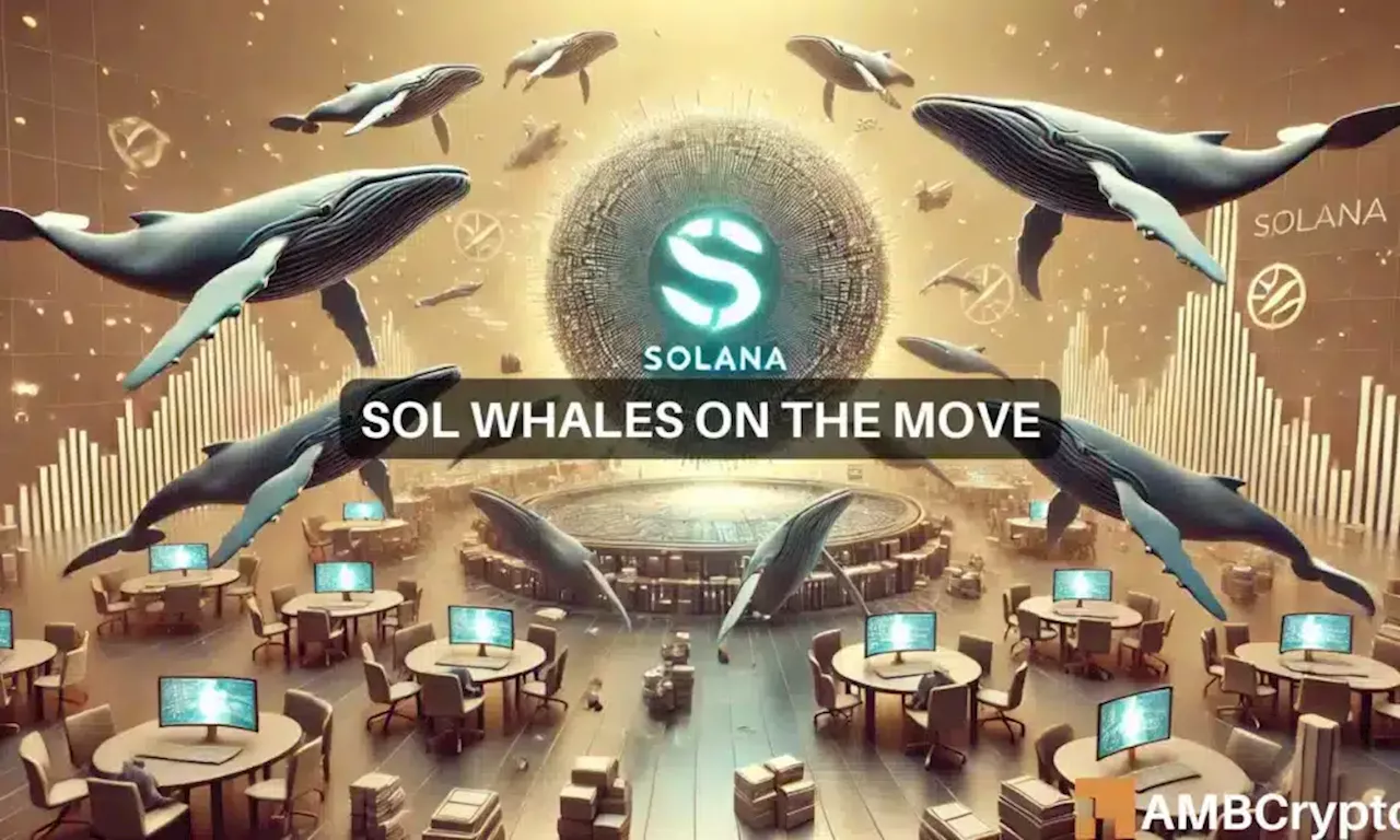 Solana whales scoop up $35M in SOL: What’s behind their move?