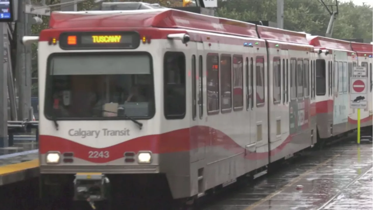 Calgary city council to discuss transit safety bylaw changes