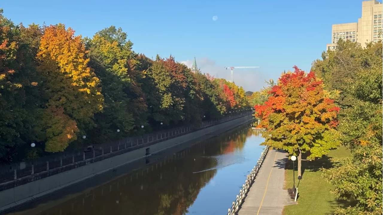 Showers today, with highs of 20 C on Wednesday and Halloween in Ottawa