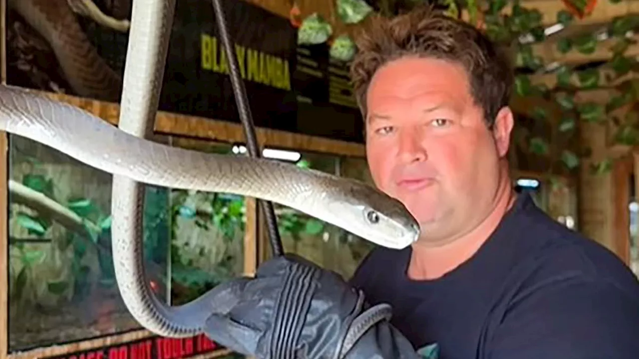 'South Africa's Steve Iwrin' dies after being bitten by venomous snake: Graham 'Dingo' Dinkelman's...