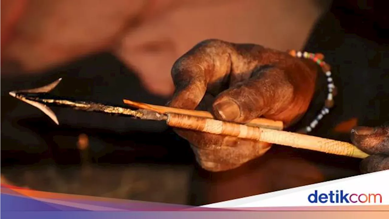 Studi: Panah Beracun untuk Berburu Mungkin Sudah Digunakan Sejak 54 Ribu Tahun Lalu