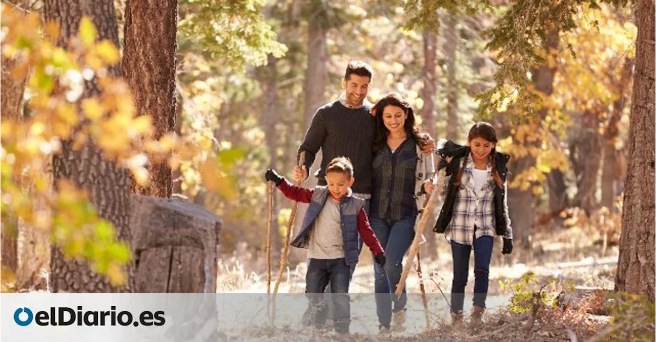 Tres excursiones que puedes hacer con niños este puente de noviembre cerca de Madrid