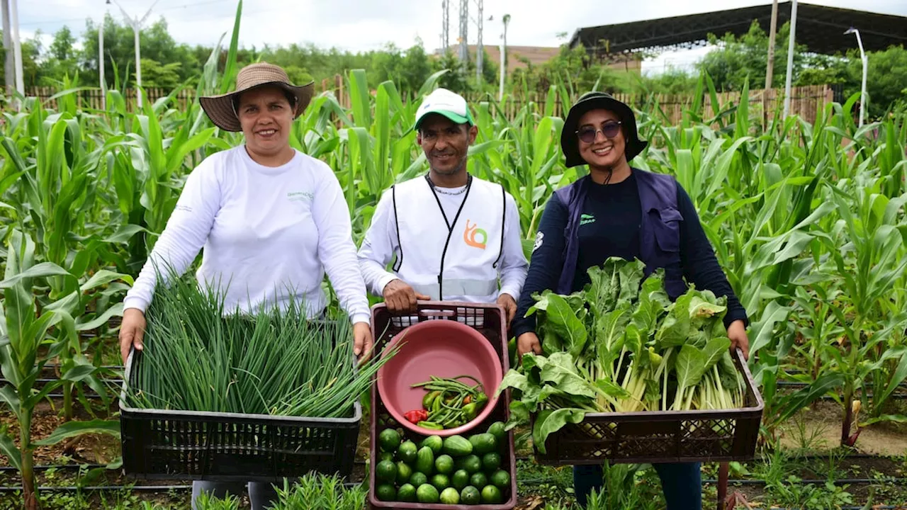 Alcaldía de Barranquilla presenta su modelo de gestión pública sostenible en la COP16