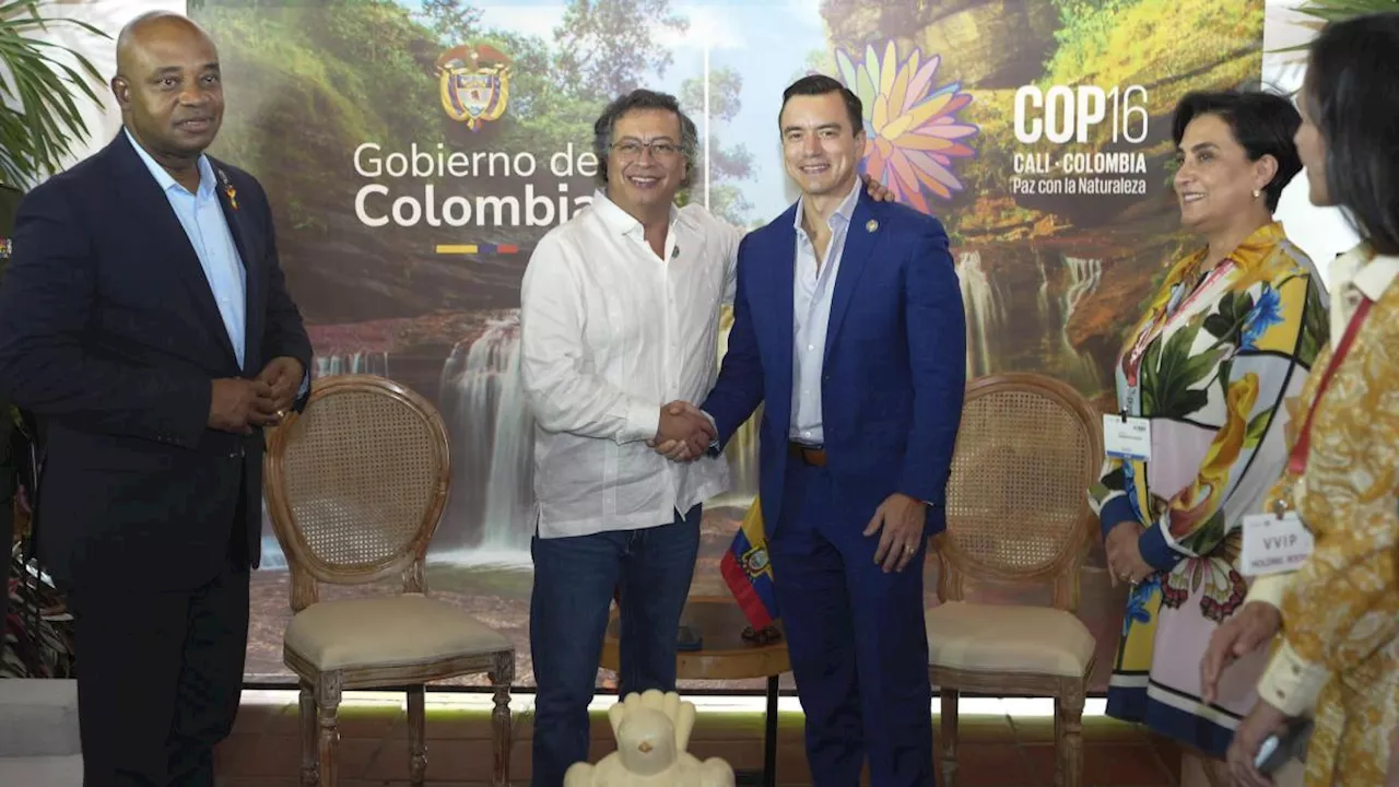 Cooperación energética, el tema principal de la reunión entre los presidentes Gustavo Petro (Colombia) y Daniel Noboa (Ecuardor) en Cali