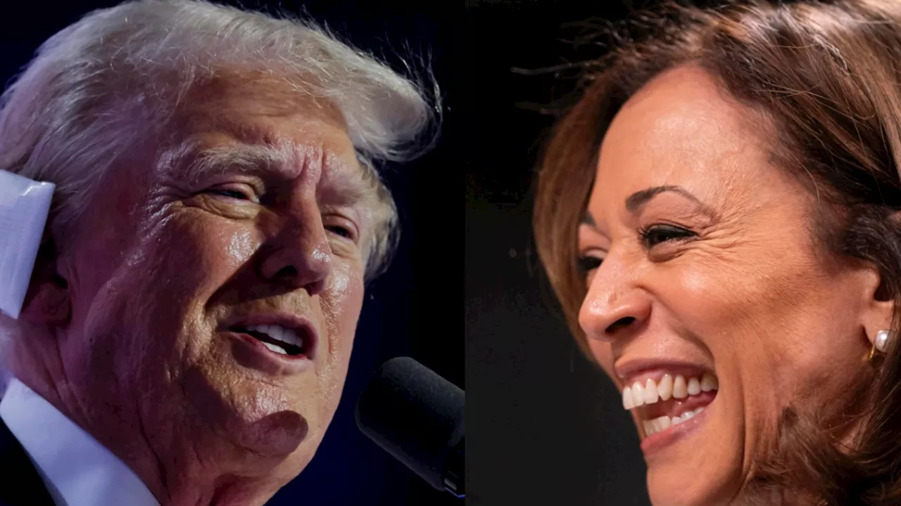 Harris o Trump: los 5 factores que definirán las elecciones de Estados Unidos