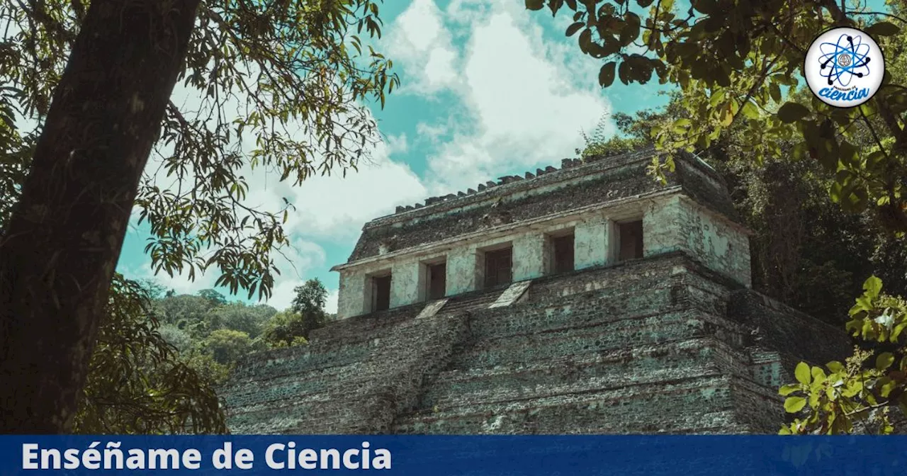 Por accidente, un estudiante descubre una enorme ciudad maya perdida en la selva de México