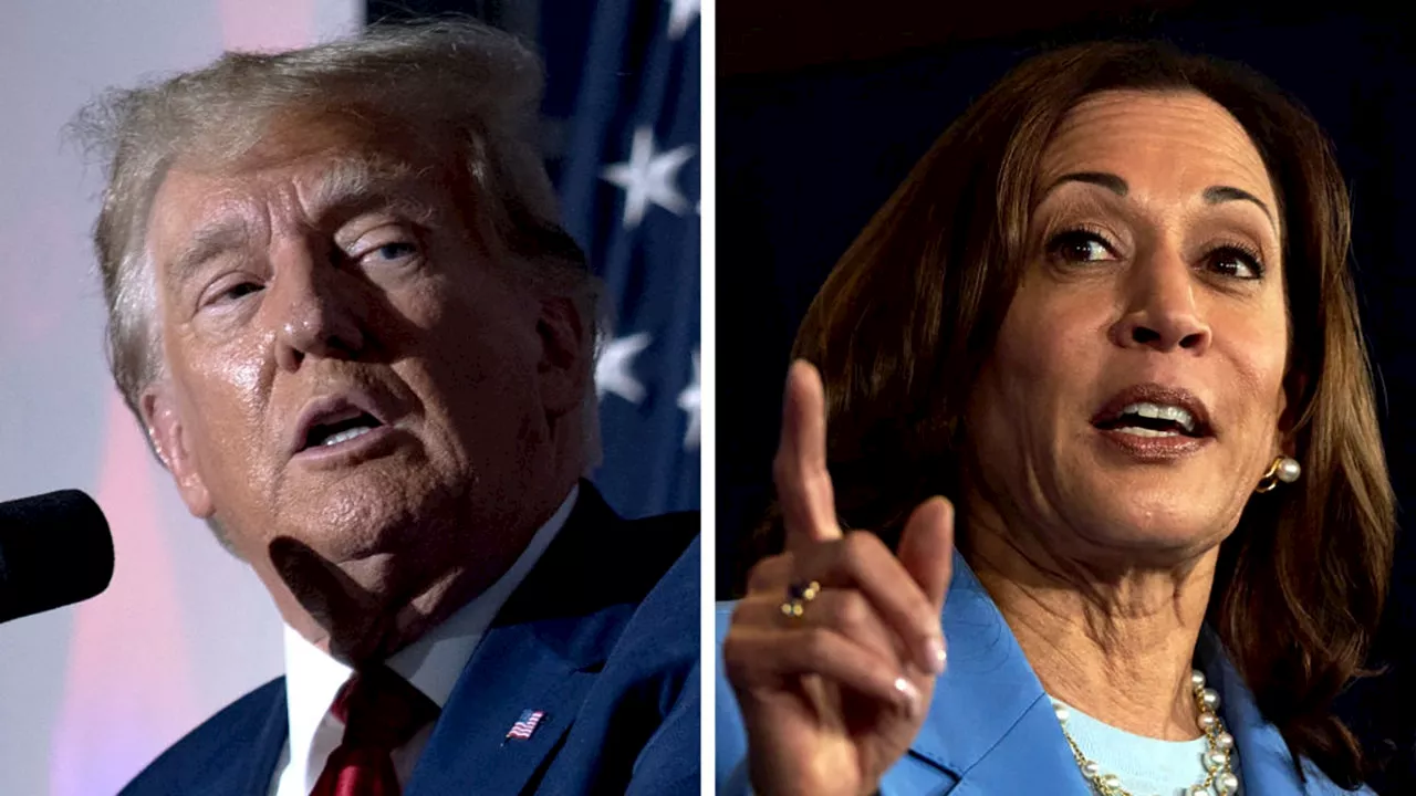 Harris vs. Trump latest polls: Here's who's winning with 1 week until Election Day