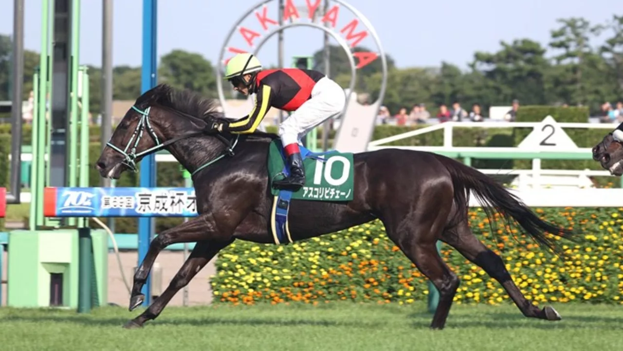 Japanese favourite’s nightmare draw as barriers revealed for $10m Sydney showdown