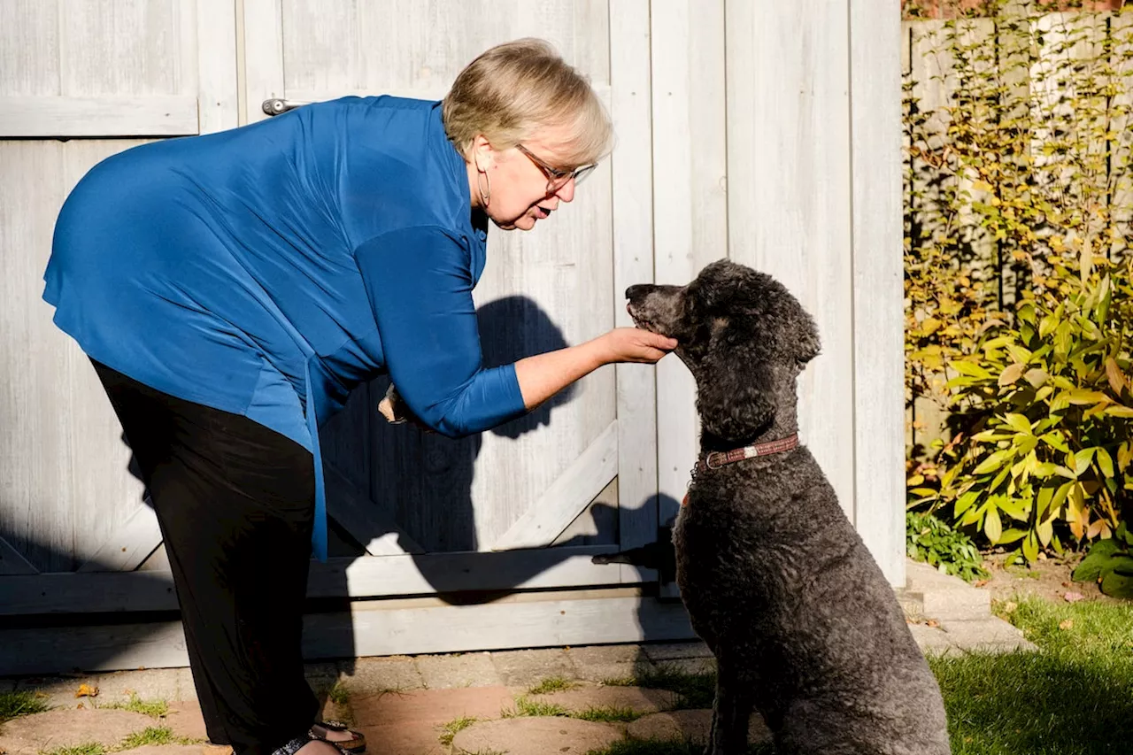 Older, wiser and not ready to retire, women are hanging out their consulting shingle in mid-life