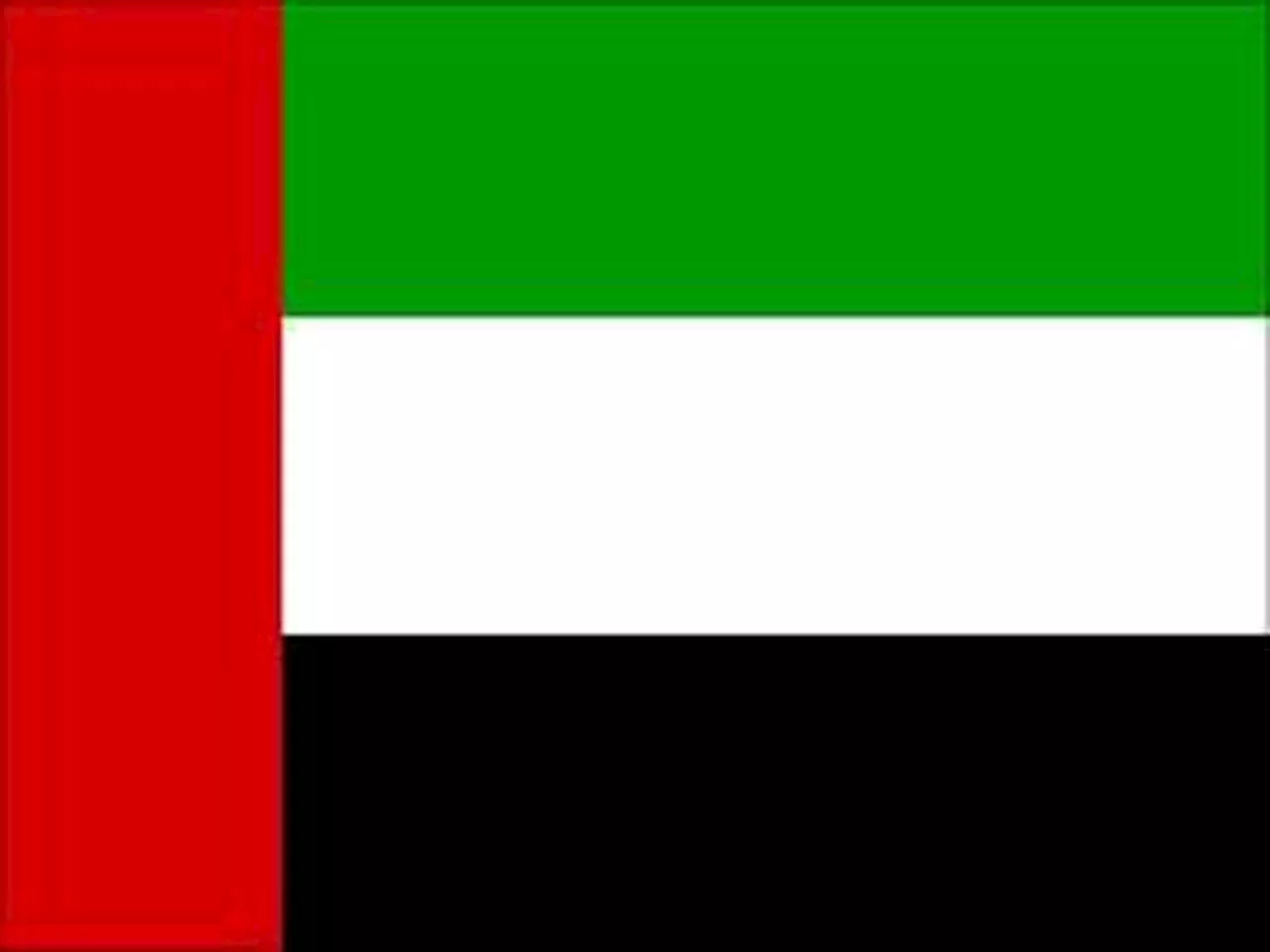 Rush for repatriation as UAE amnesty ends this week