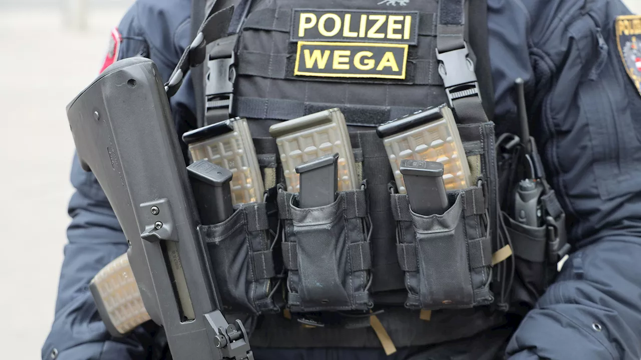 WEGA-Einsatz! Sohn droht eigener Mutter mit Waffe