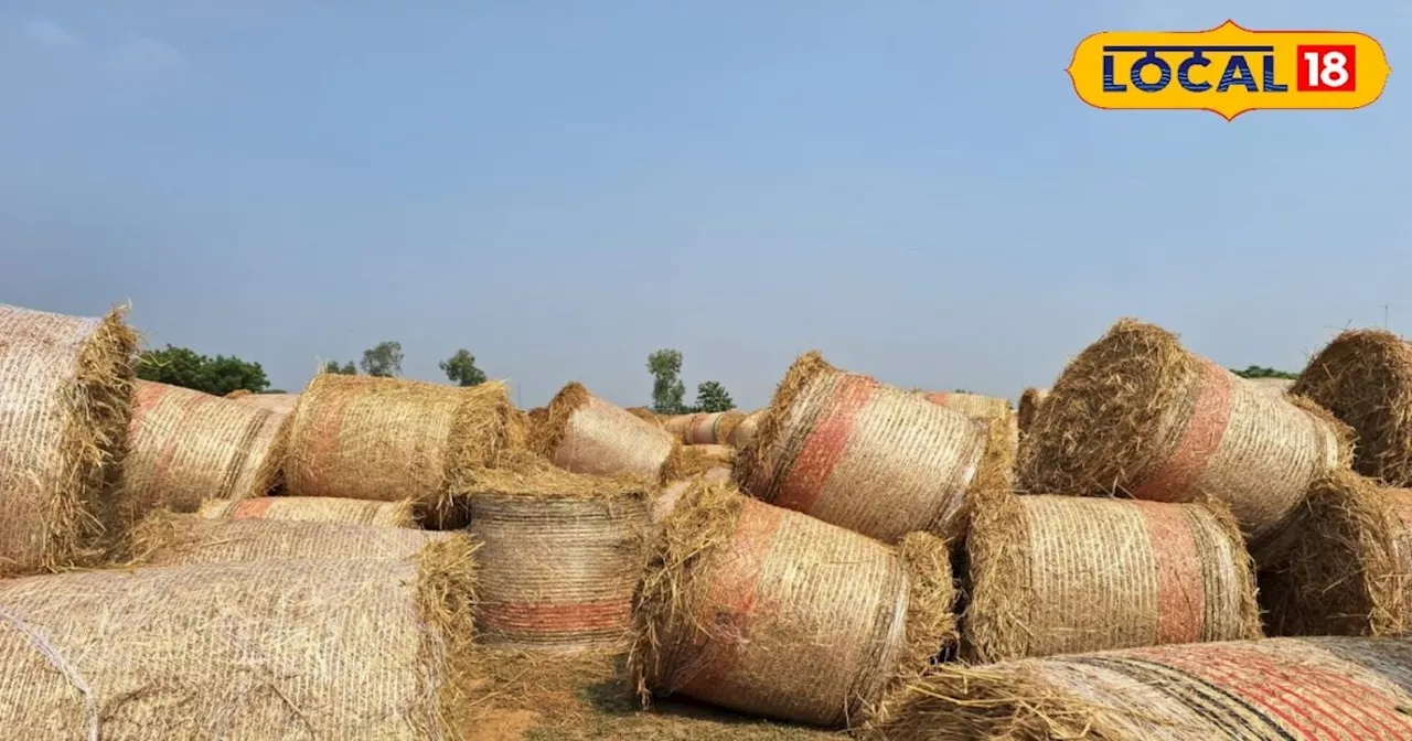 Stubble Burning: पराली जलाने की जगह किसान भाई कर लें ये काम, धान के इस वेस्ट से बन रही CNG