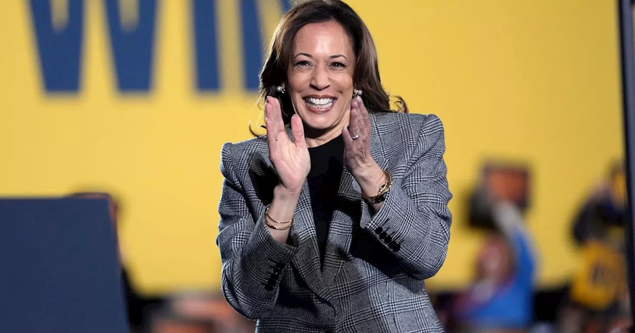 Ex-Michigan GOP Leader Says He'll Vote For Kamala Harris