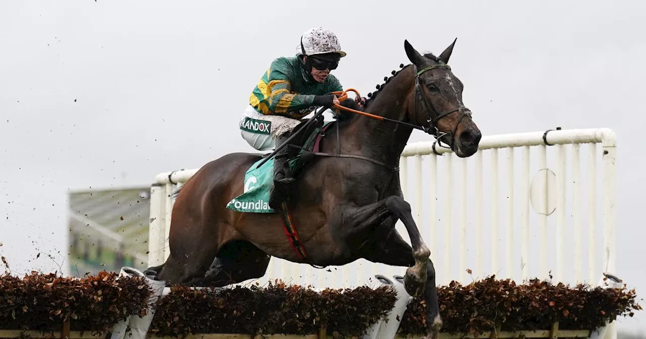 JP McManus-owned horse has Cheltenham Festival 2025 odds cut after win