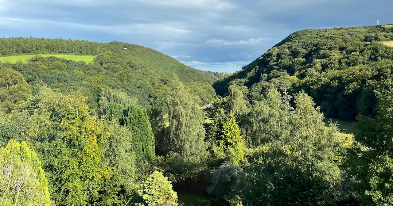 Glen o’ the Downs land at centre of campaign was previously sold by Coillte