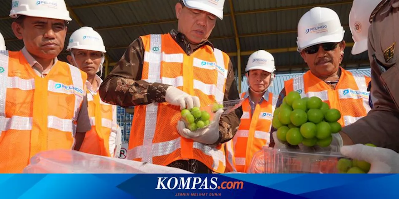 'Pintu Masuk' Anggur Muscat Disidak, Keamanan Pangan Terjamin?