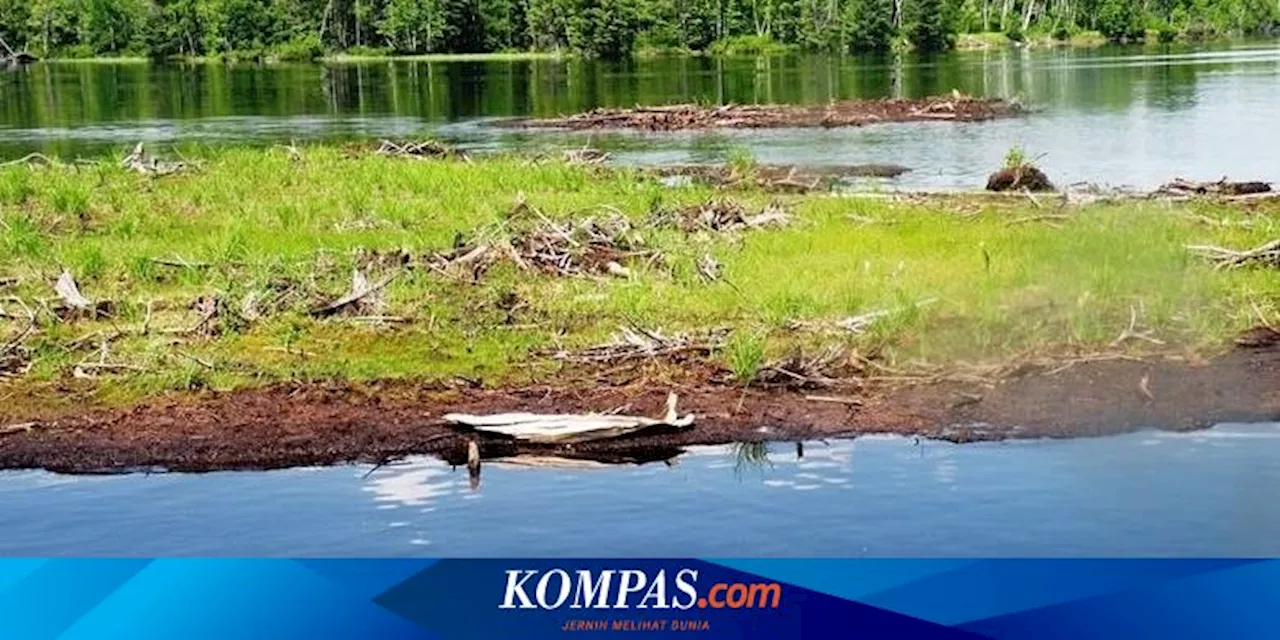 Ramai soal Warga AS Dorong 'Pulau' agar Tak Tabrak Jembatan, Bagaimana Ceritanya?