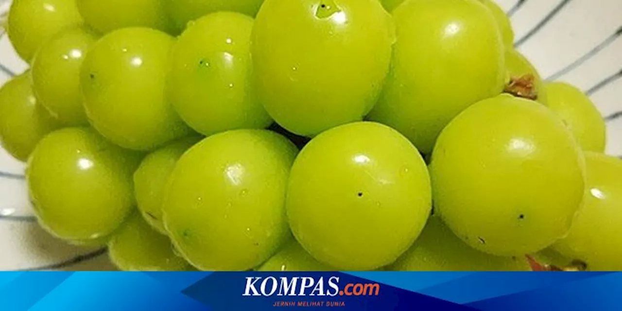 Rincian Temuan Senyawa Kimia Berbahaya pada Anggur Shine Muscat di Thailand