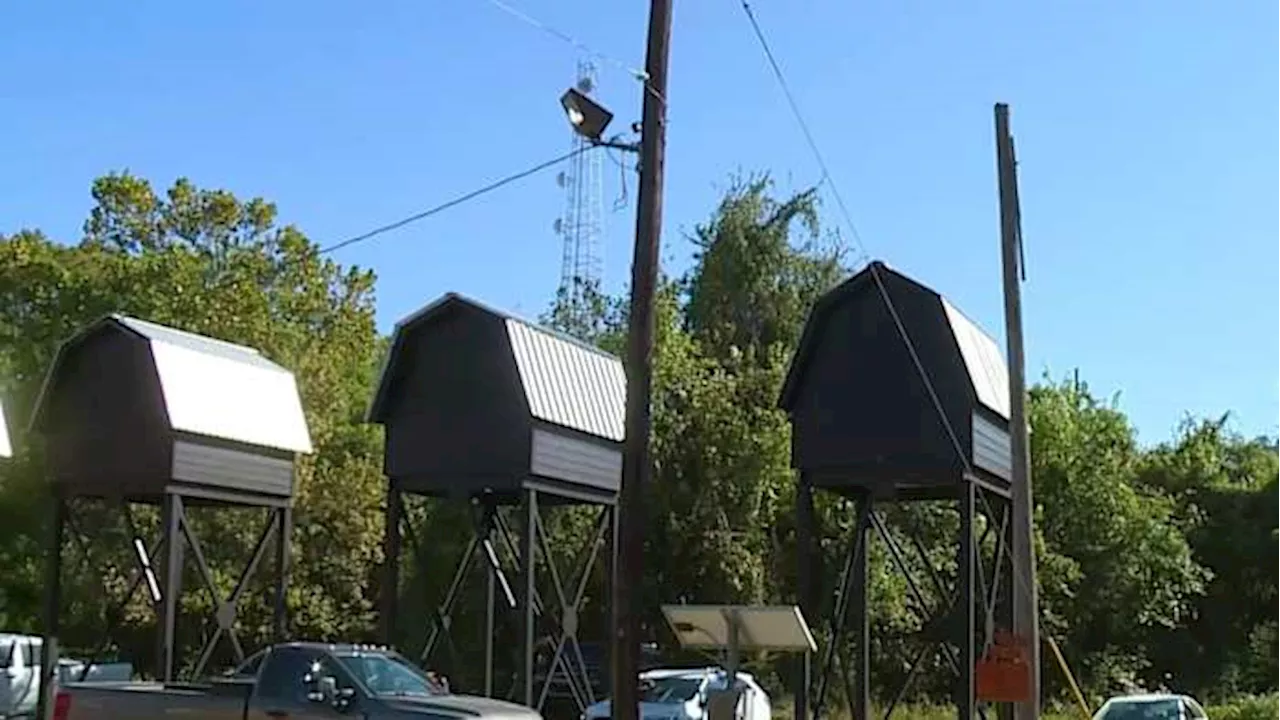 Texas prison battles bat infestation in old warehouse