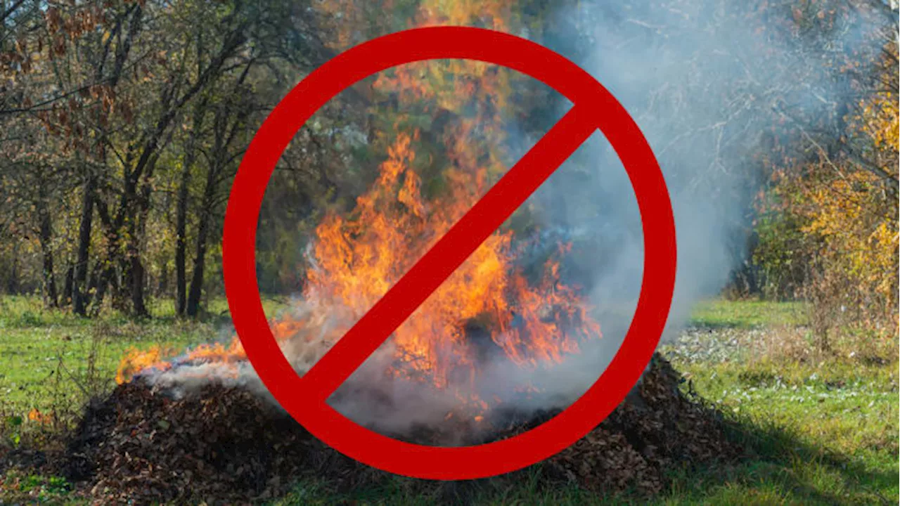 Bexar County Commissioner’s Court approves immediate burn ban